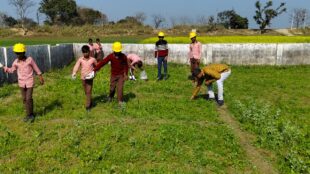 प्राथमिक विद्यालय की जमीन पर अध्यापको ने उगाई सब्जियां