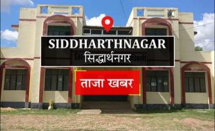 नेट फोटो