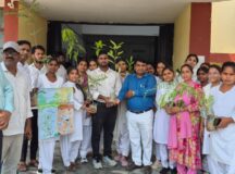 विश्व पर्यवरण दिवस पर डायट बांसी में किया गया पौधरोपण
